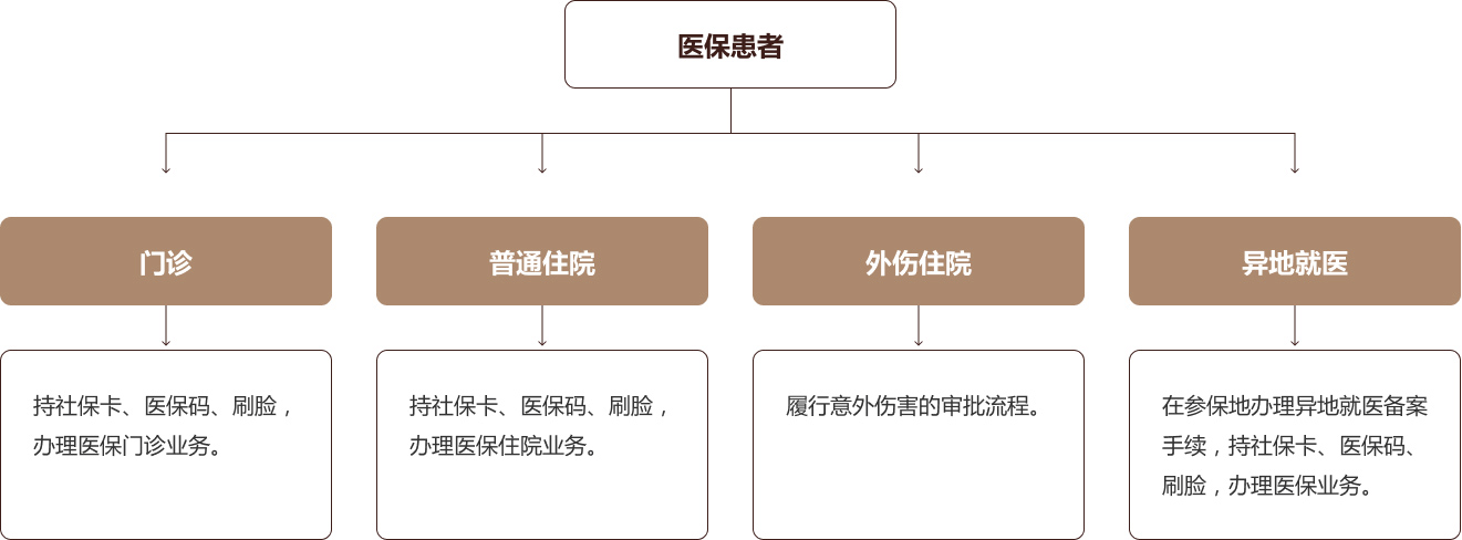 d-p73.jpg